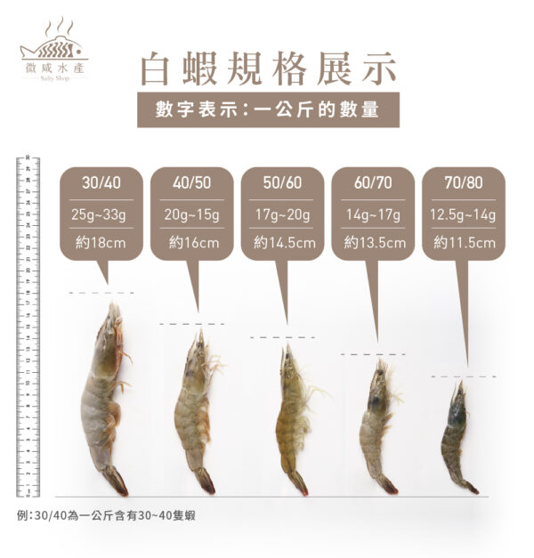 活凍中南美白蝦（20/30-850g）