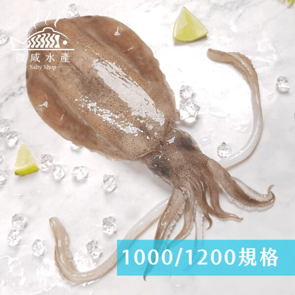 軟體_工作區域 1 複本 54 5A生食級軟絲(1000g)