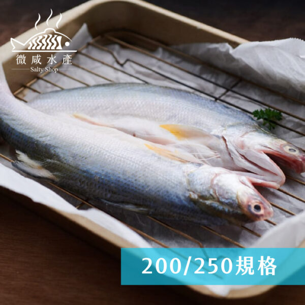 午仔魚一夜干(約200g)