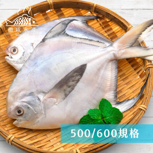 印度大白鯧(500/600g)